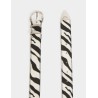 Cinturon zebra