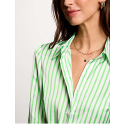 Camisa hichi verde