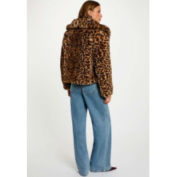 Chaqueta gdeo multicolor