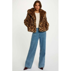 Chaqueta gdeo multicolor